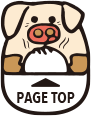 Page Top